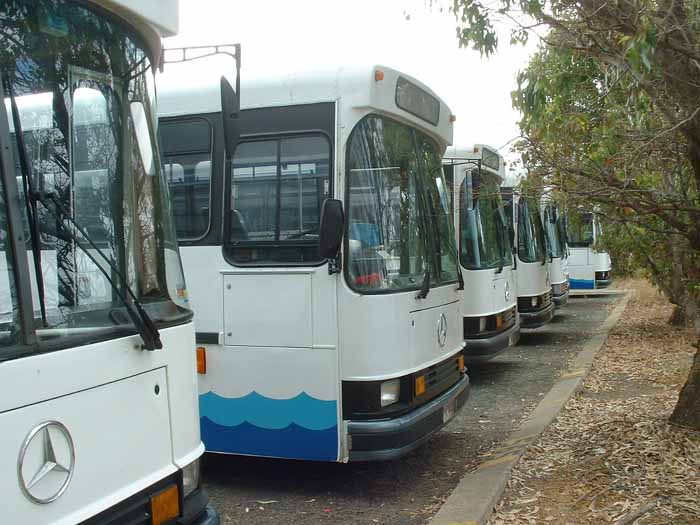 Bunbury City Transit Mercedes